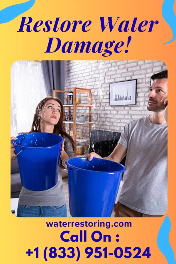 water restoration Royal Restoration Solutions Pros Fair Grove