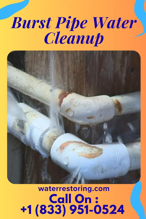 Burst Pipe Water Cleanup in Fair Grove, MO