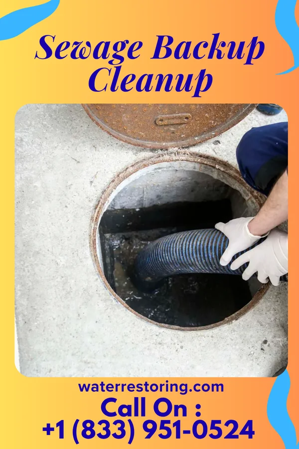 Sewage Backup Cleanup in Fair Grove, MO